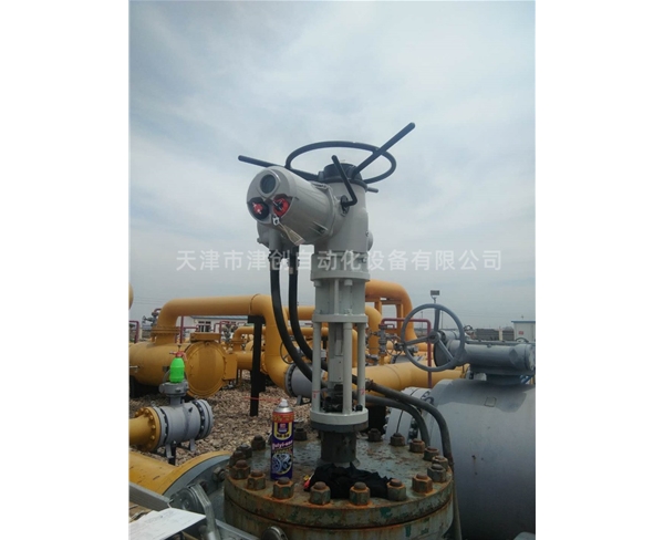 天津燃氣公司氣站IQ防爆執行器